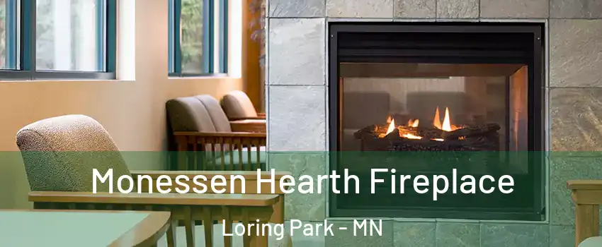 Monessen Hearth Fireplace Loring Park - MN