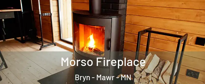 Morso Fireplace Bryn - Mawr - MN