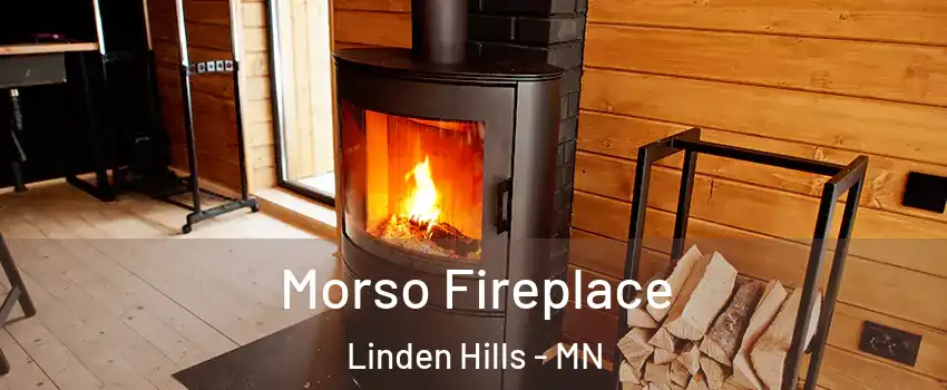Morso Fireplace Linden Hills - MN