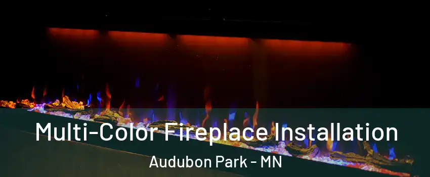 Multi-Color Fireplace Installation Audubon Park - MN