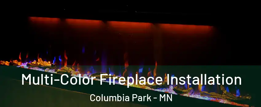 Multi-Color Fireplace Installation Columbia Park - MN