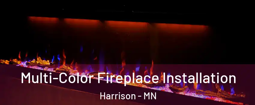 Multi-Color Fireplace Installation Harrison - MN