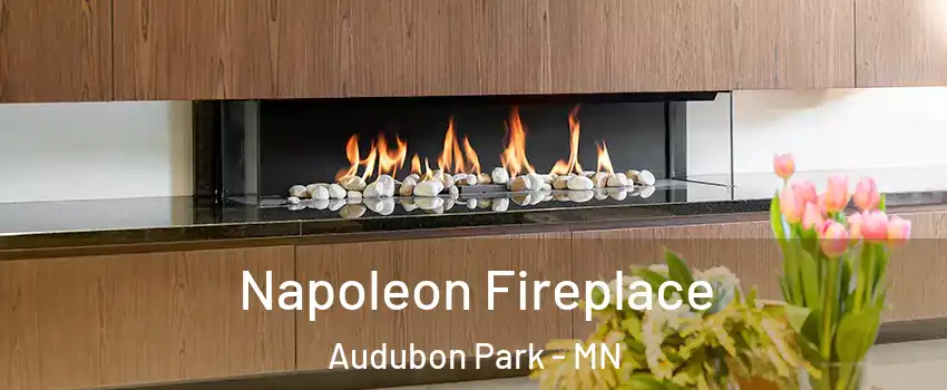 Napoleon Fireplace Audubon Park - MN