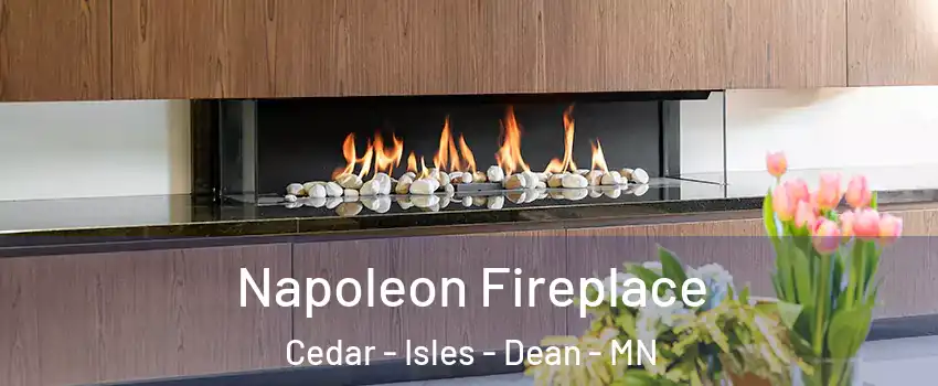 Napoleon Fireplace Cedar - Isles - Dean - MN