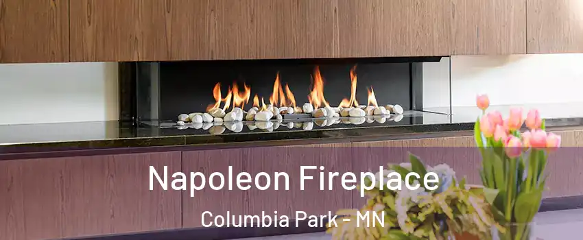 Napoleon Fireplace Columbia Park - MN
