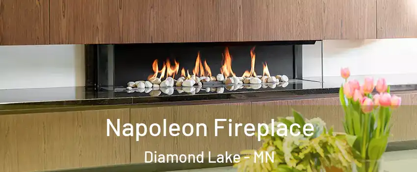 Napoleon Fireplace Diamond Lake - MN