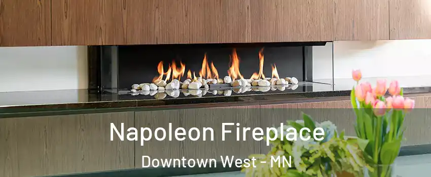 Napoleon Fireplace Downtown West - MN