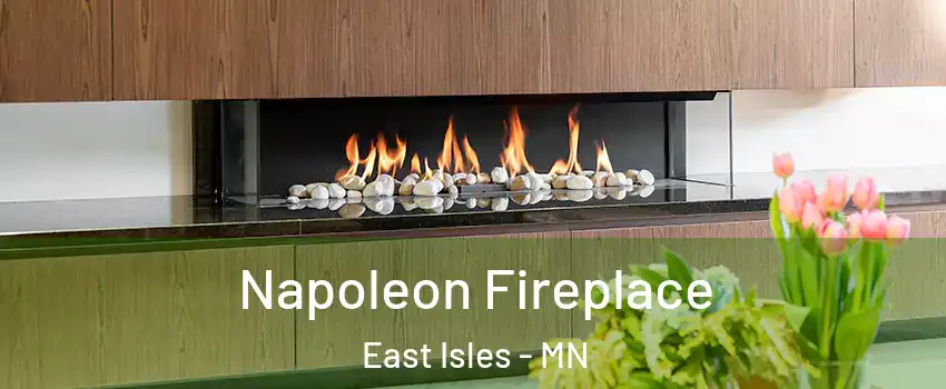 Napoleon Fireplace East Isles - MN
