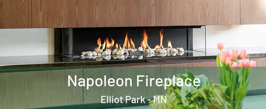 Napoleon Fireplace Elliot Park - MN