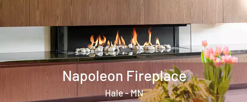 Napoleon Fireplace Hale - MN