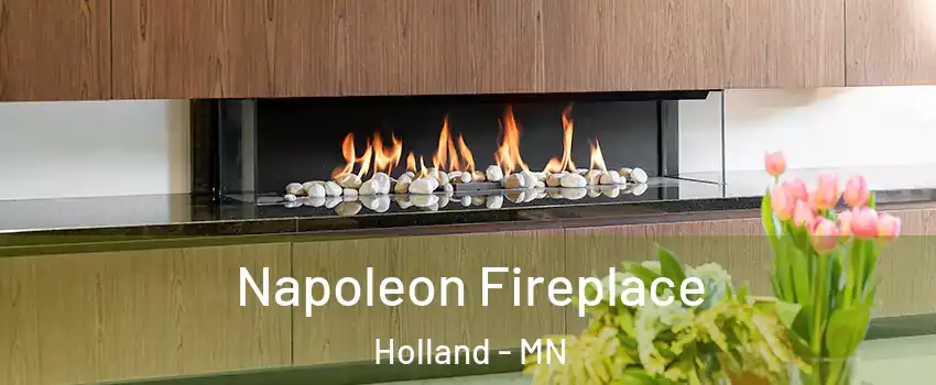 Napoleon Fireplace Holland - MN