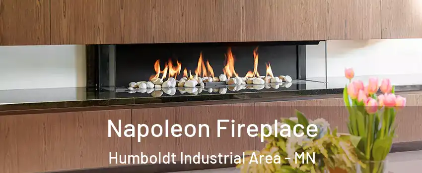 Napoleon Fireplace Humboldt Industrial Area - MN