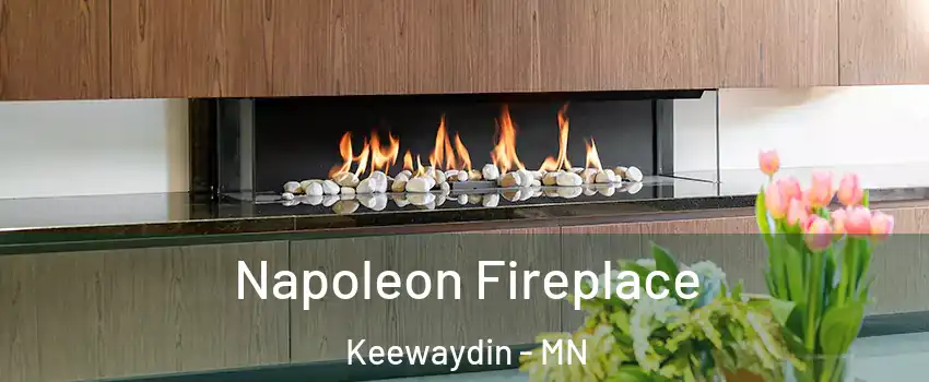Napoleon Fireplace Keewaydin - MN