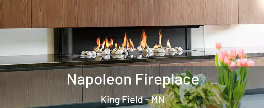 Napoleon Fireplace King Field - MN