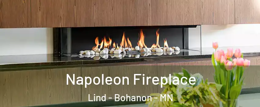 Napoleon Fireplace Lind - Bohanon - MN