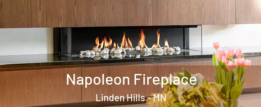 Napoleon Fireplace Linden Hills - MN