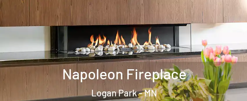 Napoleon Fireplace Logan Park - MN