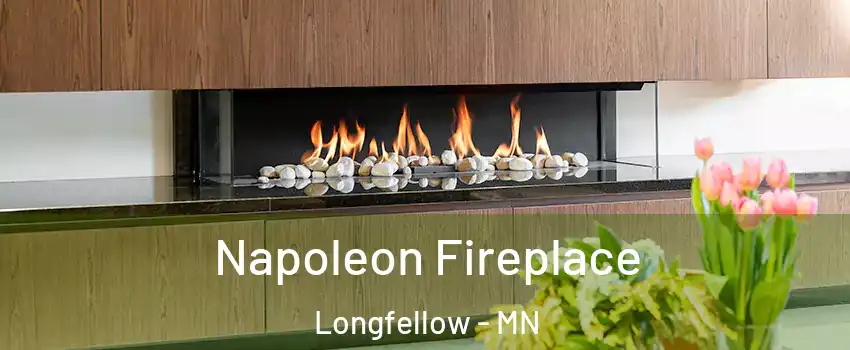 Napoleon Fireplace Longfellow - MN