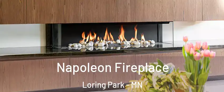 Napoleon Fireplace Loring Park - MN