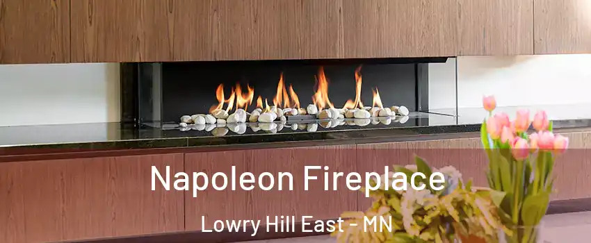 Napoleon Fireplace Lowry Hill East - MN
