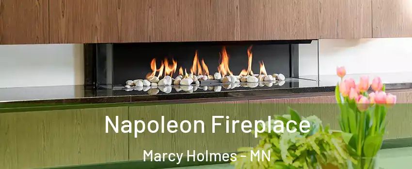 Napoleon Fireplace Marcy Holmes - MN