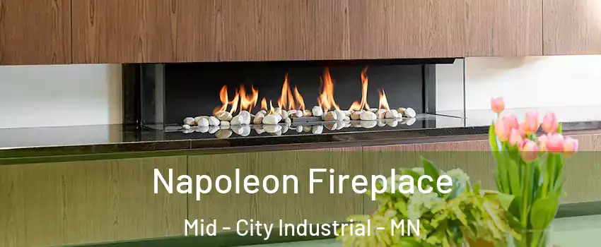 Napoleon Fireplace Mid - City Industrial - MN