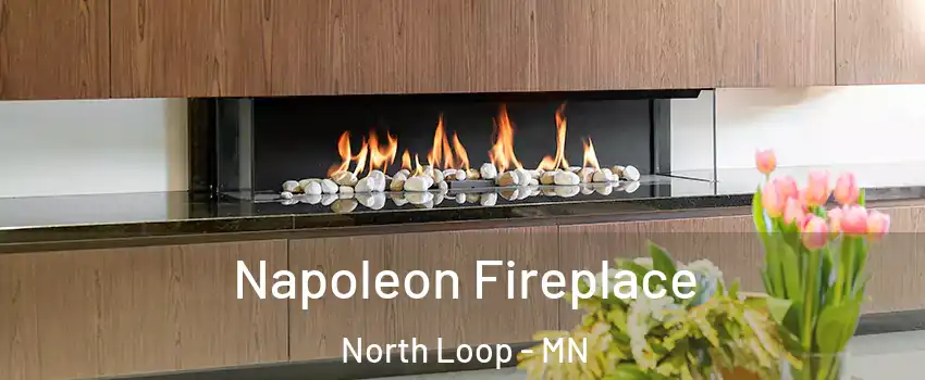 Napoleon Fireplace North Loop - MN