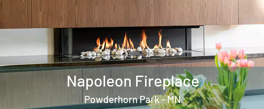 Napoleon Fireplace Powderhorn Park - MN
