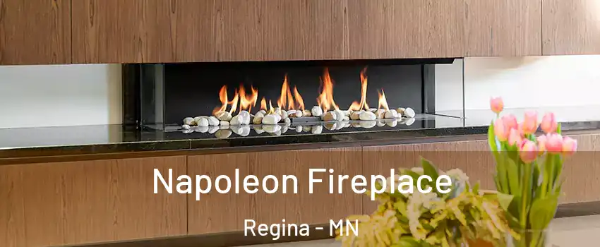 Napoleon Fireplace Regina - MN