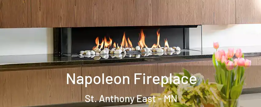 Napoleon Fireplace St. Anthony East - MN