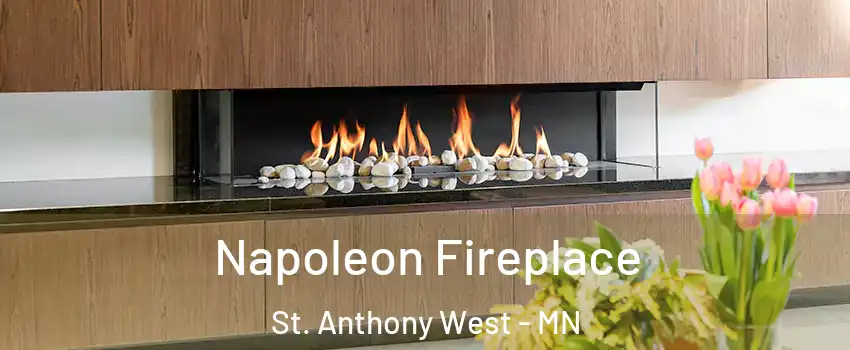 Napoleon Fireplace St. Anthony West - MN