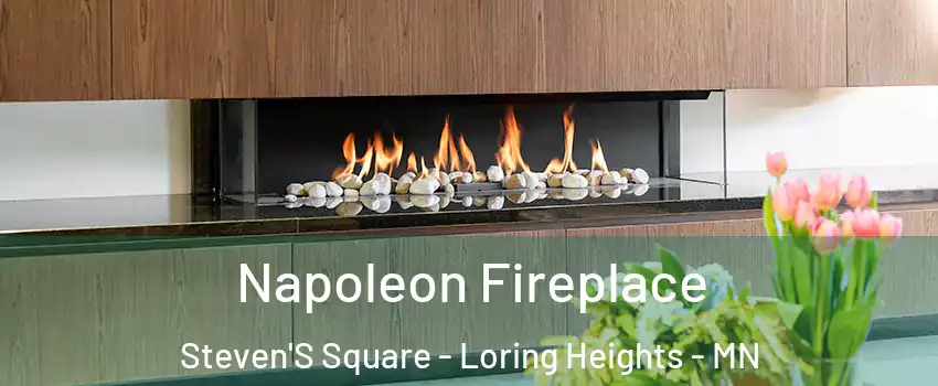 Napoleon Fireplace Steven'S Square - Loring Heights - MN