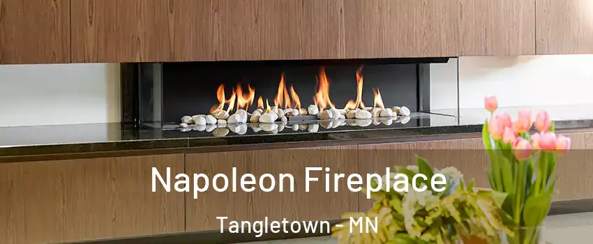 Napoleon Fireplace Tangletown - MN