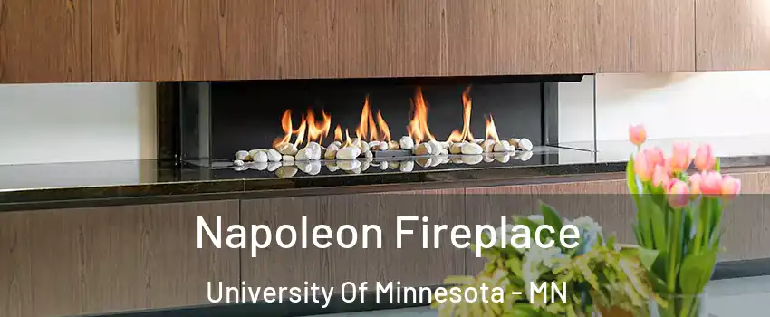 Napoleon Fireplace University Of Minnesota - MN