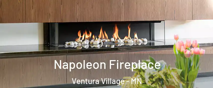 Napoleon Fireplace Ventura Village - MN