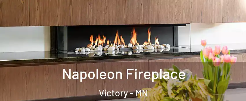 Napoleon Fireplace Victory - MN