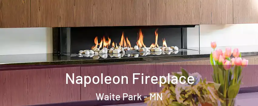 Napoleon Fireplace Waite Park - MN