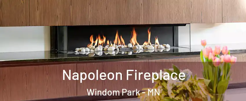 Napoleon Fireplace Windom Park - MN