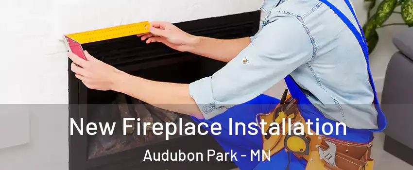 New Fireplace Installation Audubon Park - MN