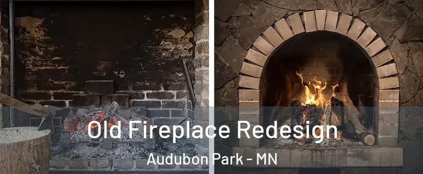 Old Fireplace Redesign Audubon Park - MN