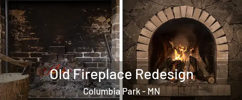 Old Fireplace Redesign Columbia Park - MN