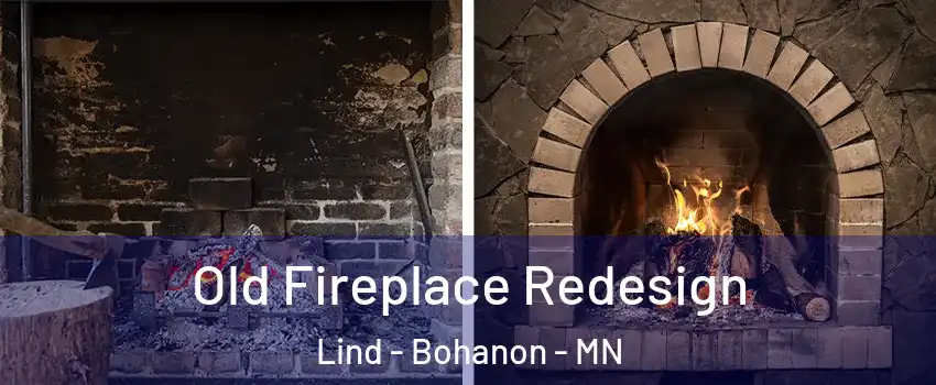 Old Fireplace Redesign Lind - Bohanon - MN