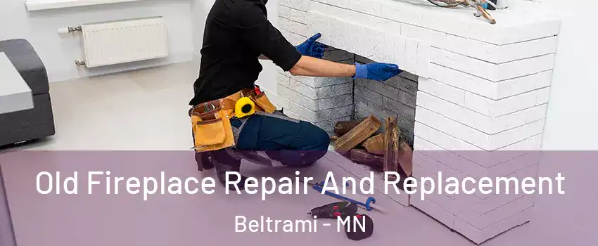 Old Fireplace Repair And Replacement Beltrami - MN