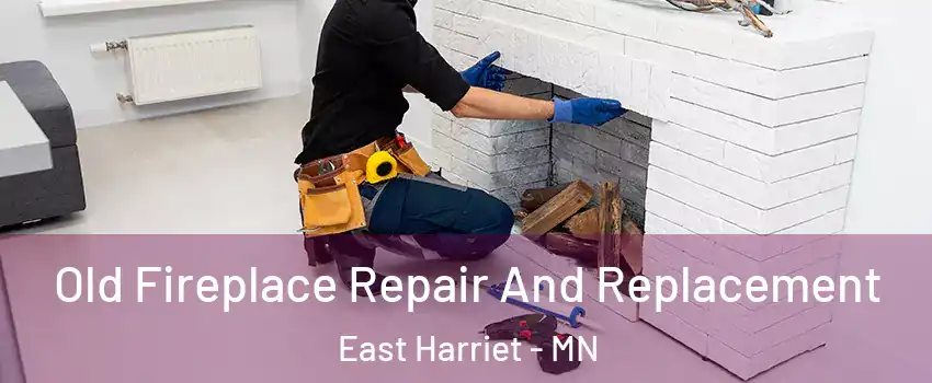Old Fireplace Repair And Replacement East Harriet - MN