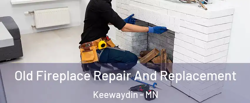 Old Fireplace Repair And Replacement Keewaydin - MN