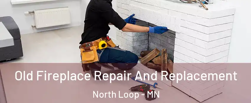 Old Fireplace Repair And Replacement North Loop - MN