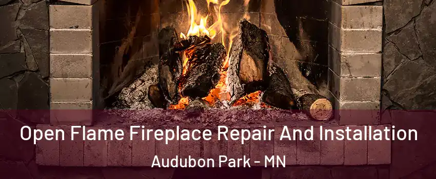 Open Flame Fireplace Repair And Installation Audubon Park - MN