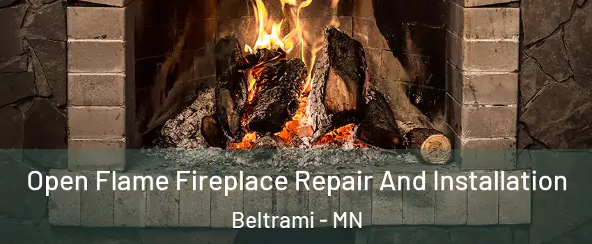 Open Flame Fireplace Repair And Installation Beltrami - MN