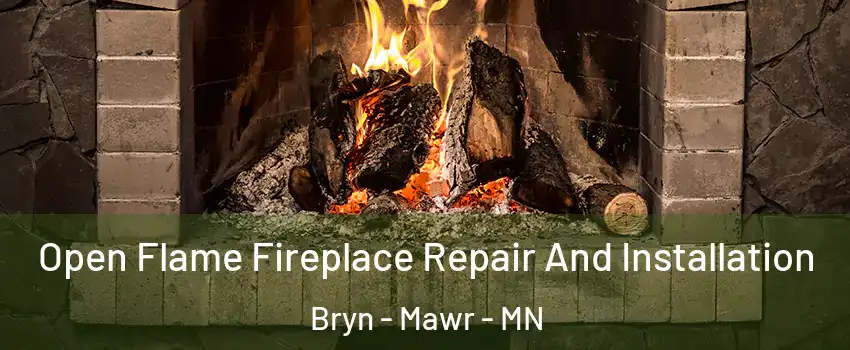 Open Flame Fireplace Repair And Installation Bryn - Mawr - MN