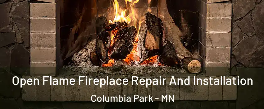 Open Flame Fireplace Repair And Installation Columbia Park - MN